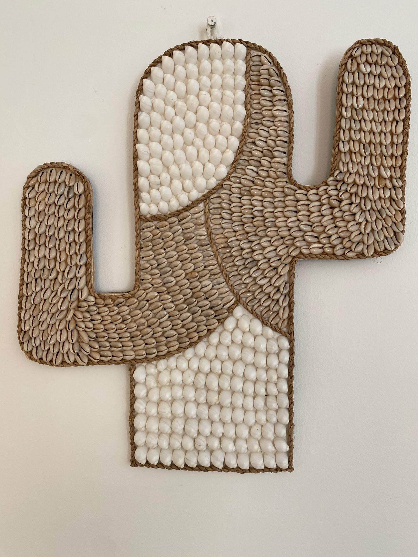 Cactus shell