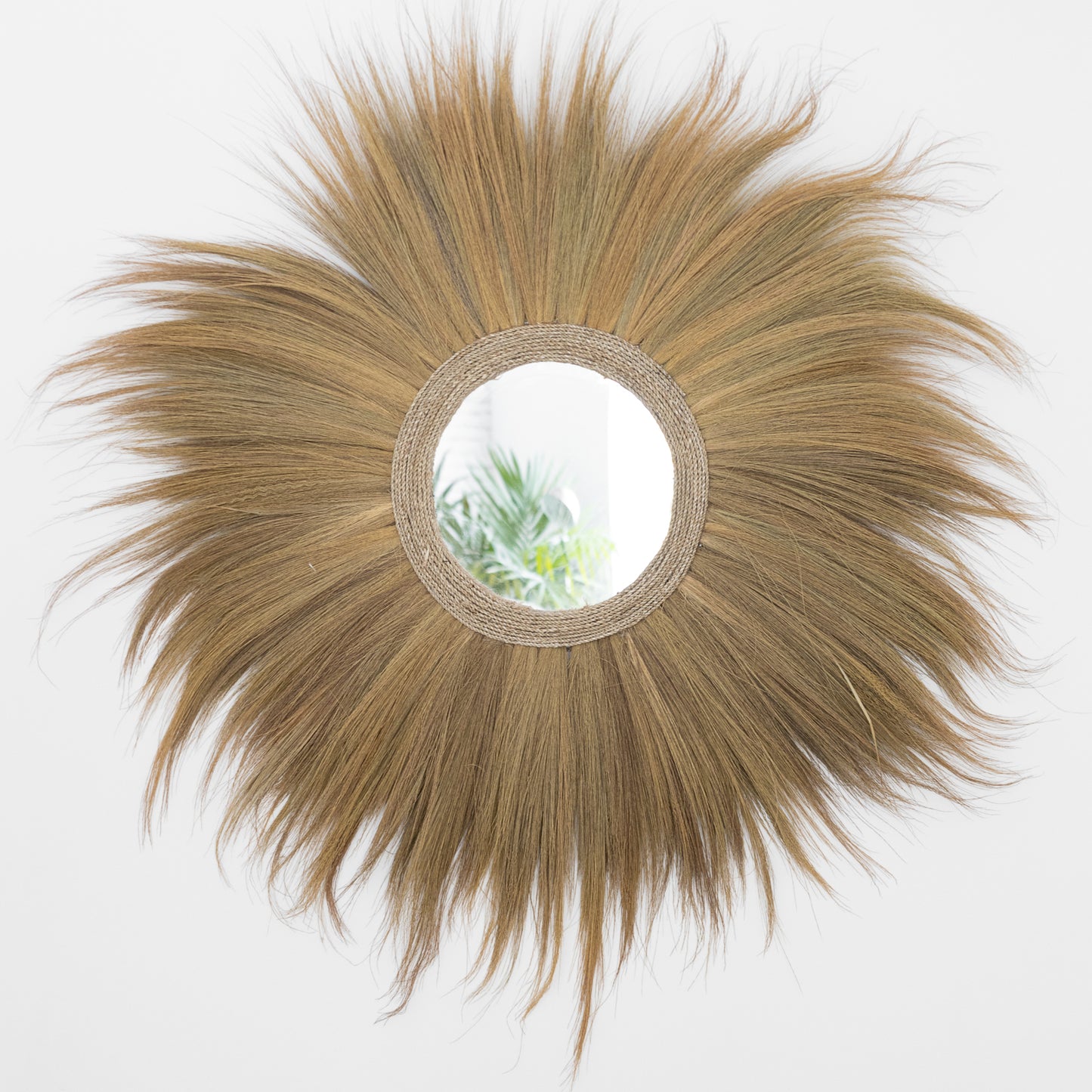 Seagrass mirror